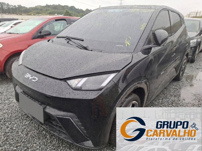 BYD DOLPHIN MINI 24/25