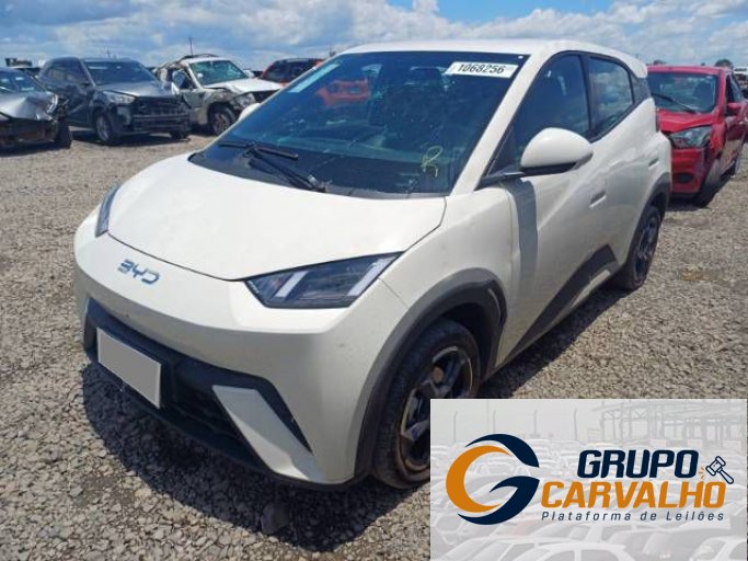 BYD DOLPHIN MINI 25/26
