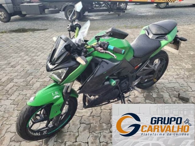 KAWASAKI Z300 15/16