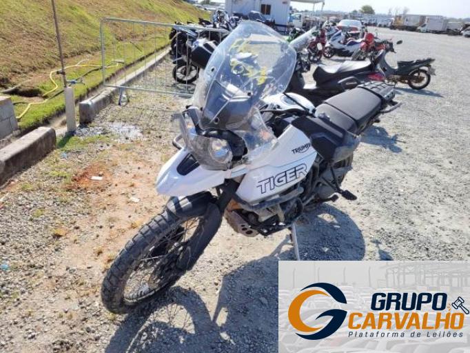 TRIUMPH TIGER 20/20